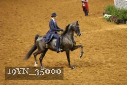 19YN_35000 proof