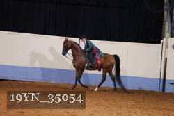 19YN_35054 proof