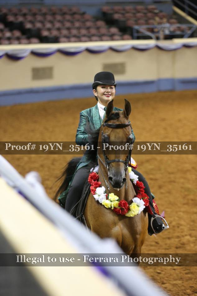 Proof 19YN_35161