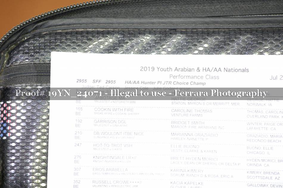 Proof 19YN_24071