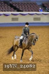 19YN_24082 proof