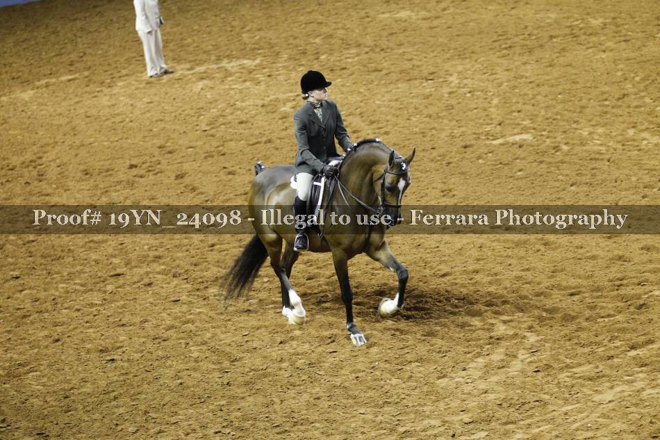Proof 19YN_24098