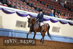 19YN_24305 proof