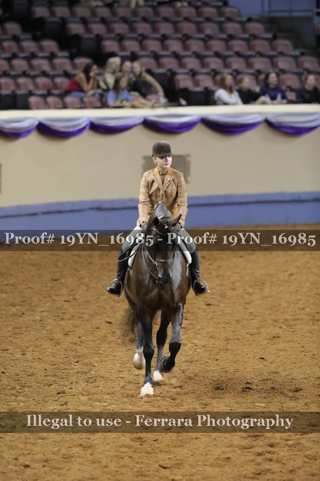 Proof 19YN_16985