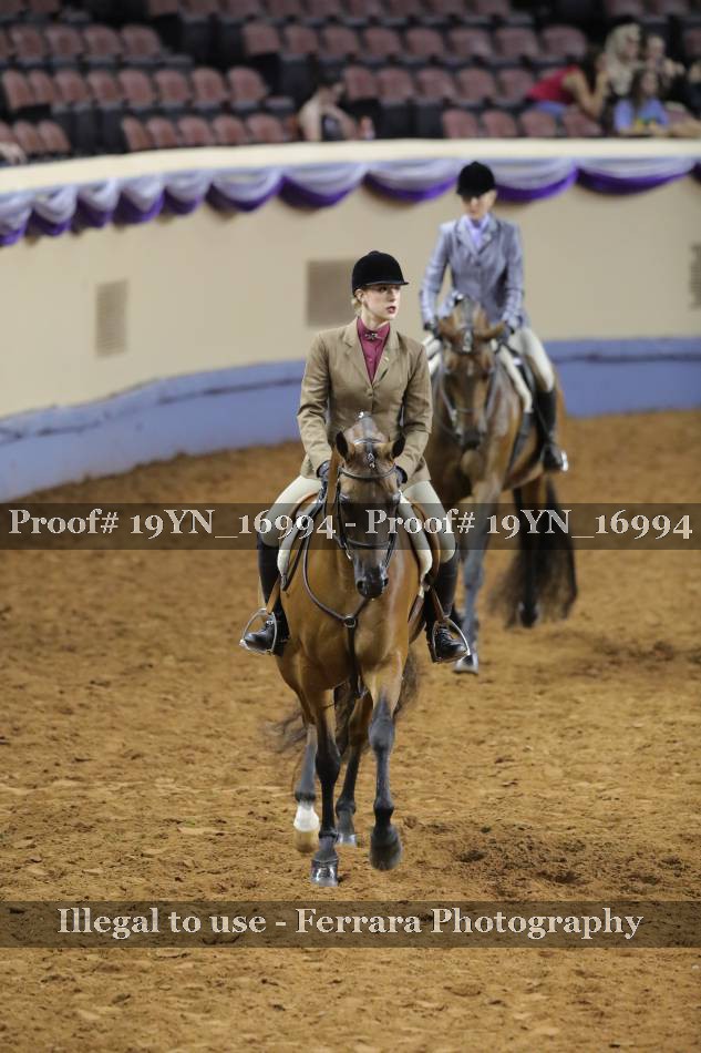 Proof 19YN_16994