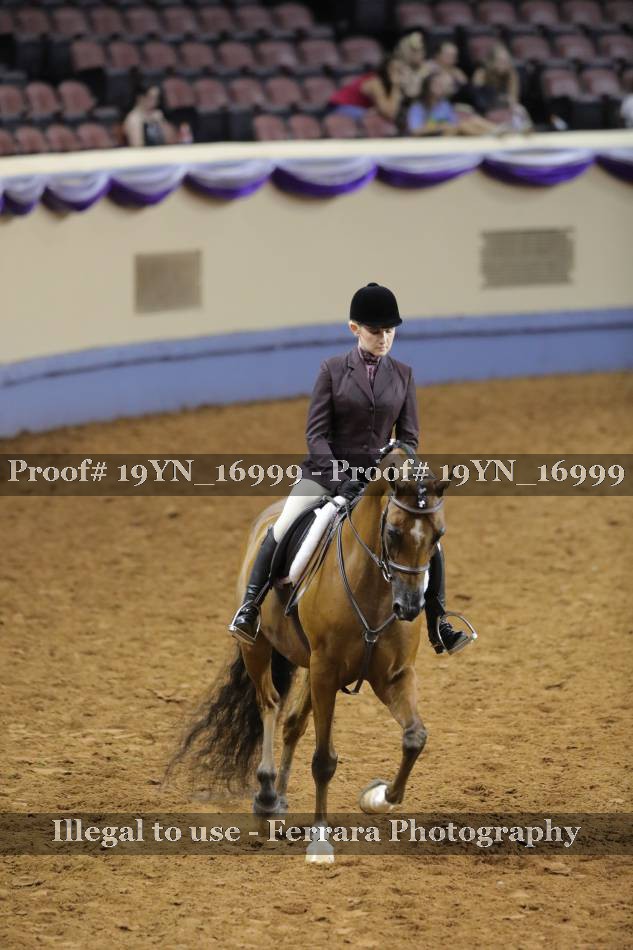 Proof 19YN_16999