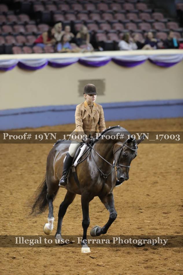 Proof 19YN_17003