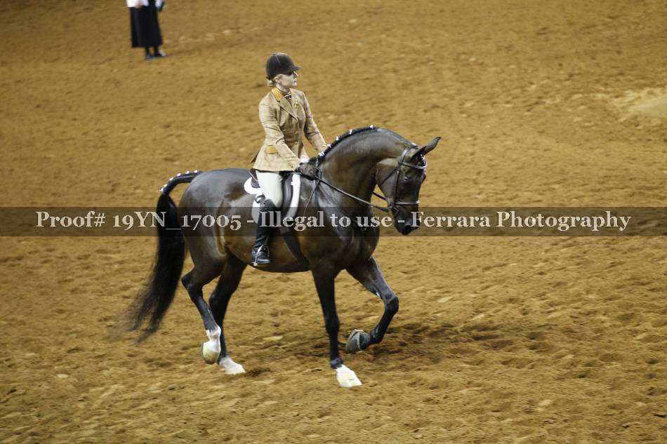 Proof 19YN_17005