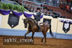 19YN_17016 proof