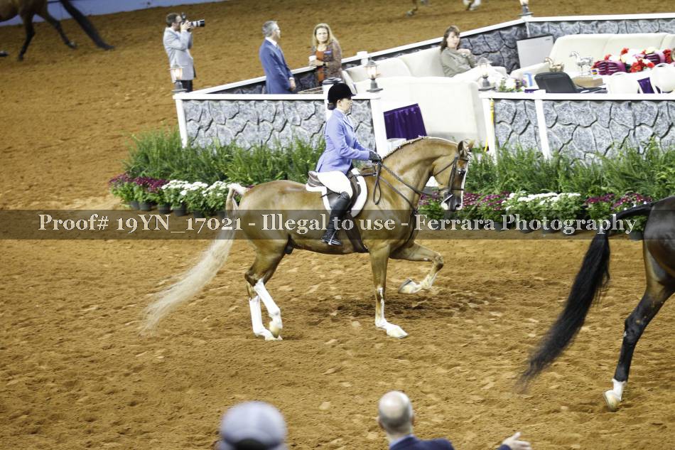Proof 19YN_17021