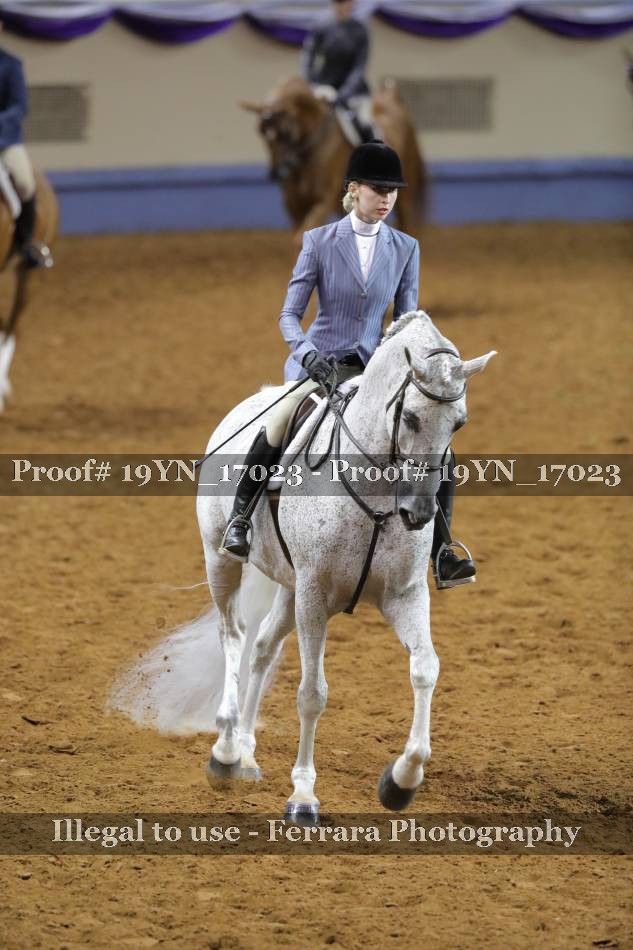 Proof 19YN_17023