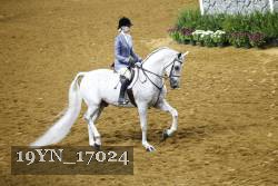 19YN_17024 proof
