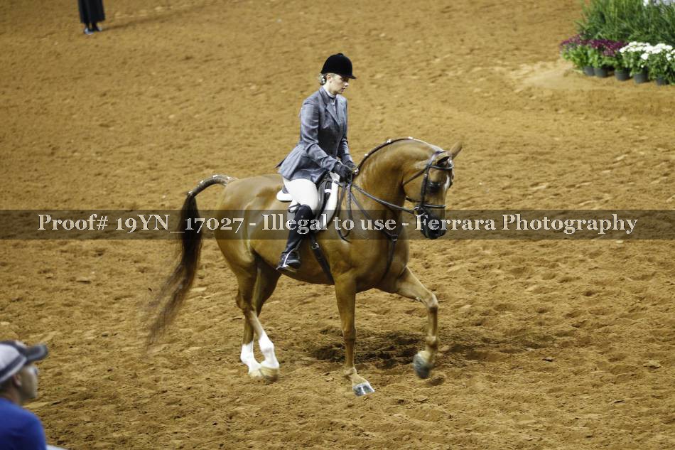 Proof 19YN_17027