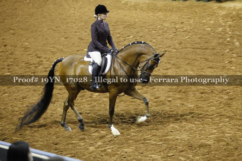 Proof 19YN_17028