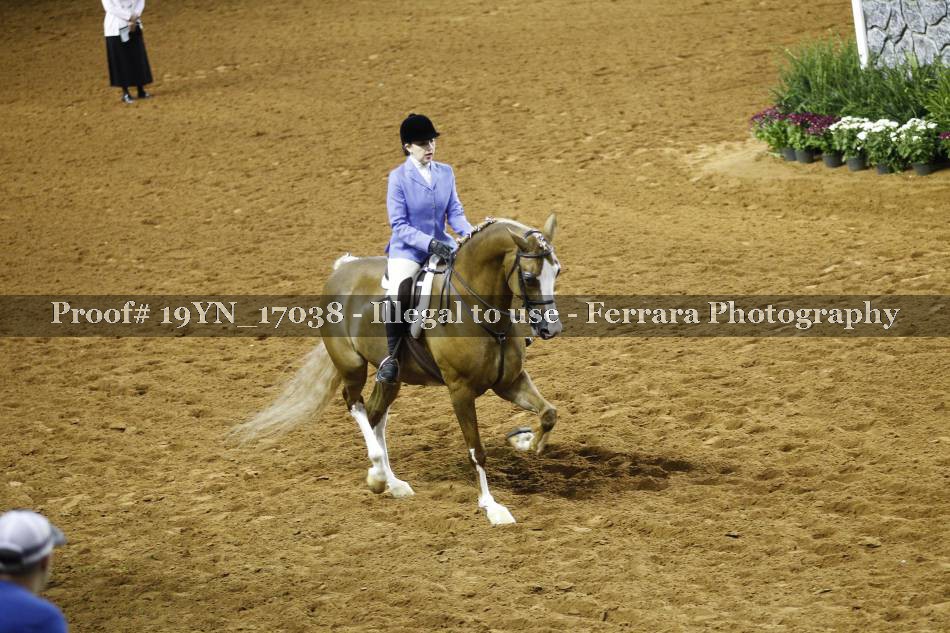 Proof 19YN_17038