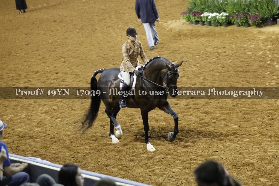 Proof 19YN_17039