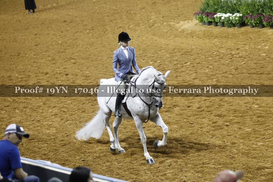Proof 19YN_17046