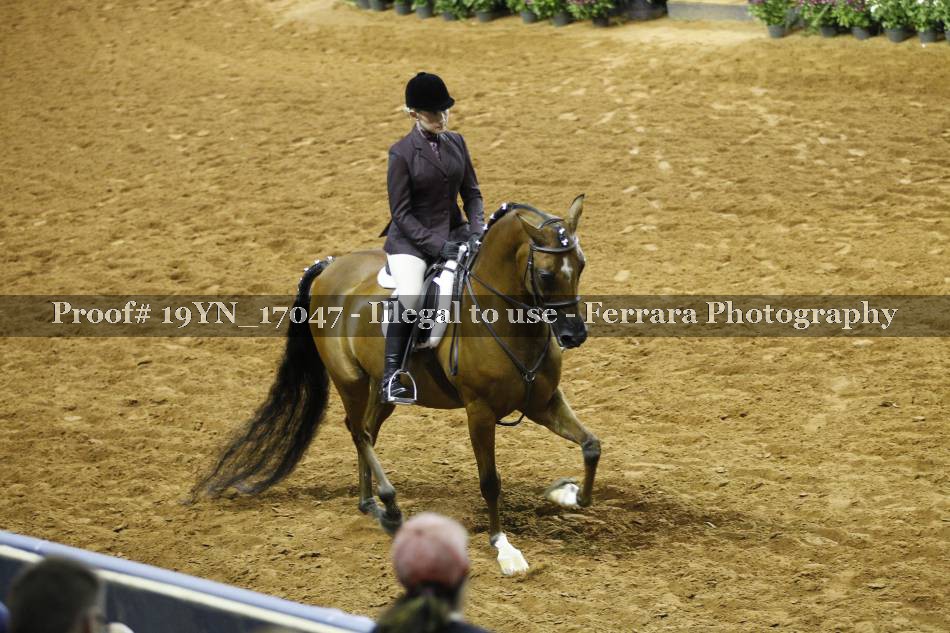 Proof 19YN_17047