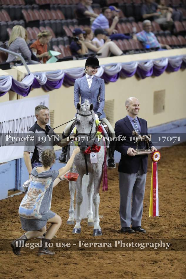 Proof 19YN_17071