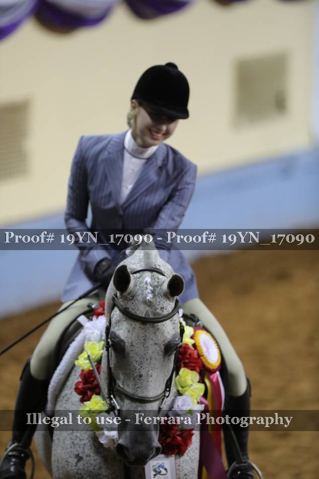 Proof 19YN_17090