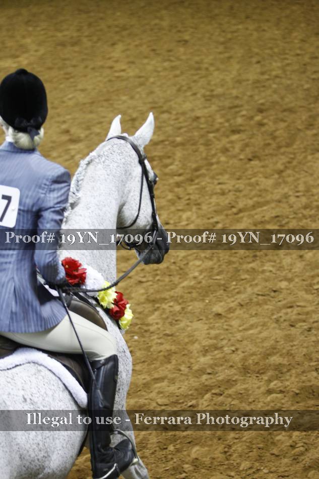 Proof 19YN_17096