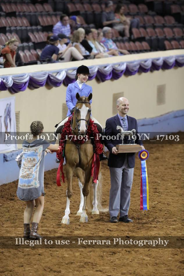 Proof 19YN_17103