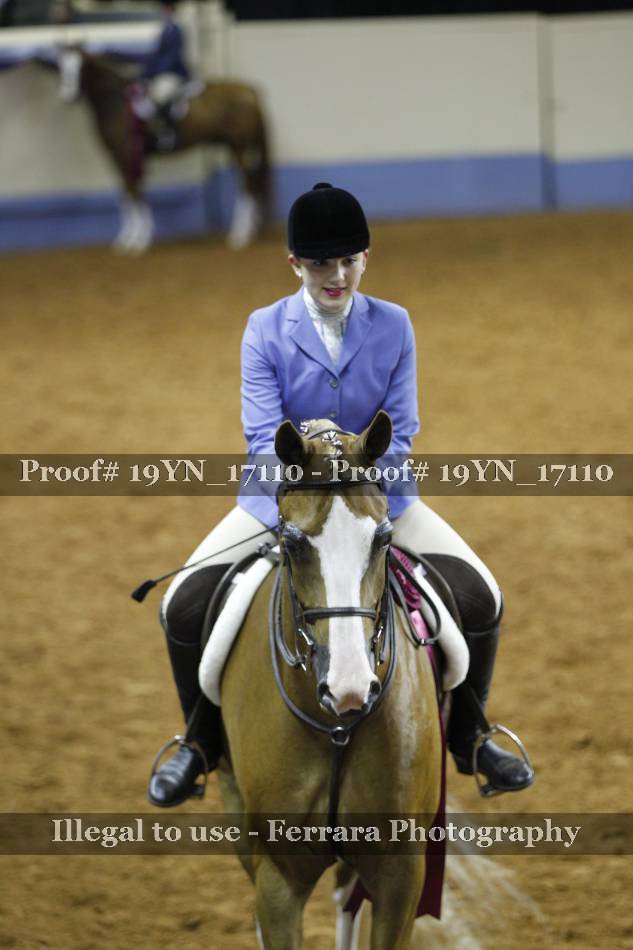 Proof 19YN_17110