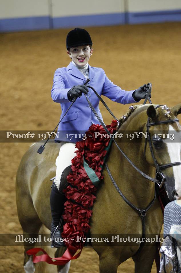Proof 19YN_17113