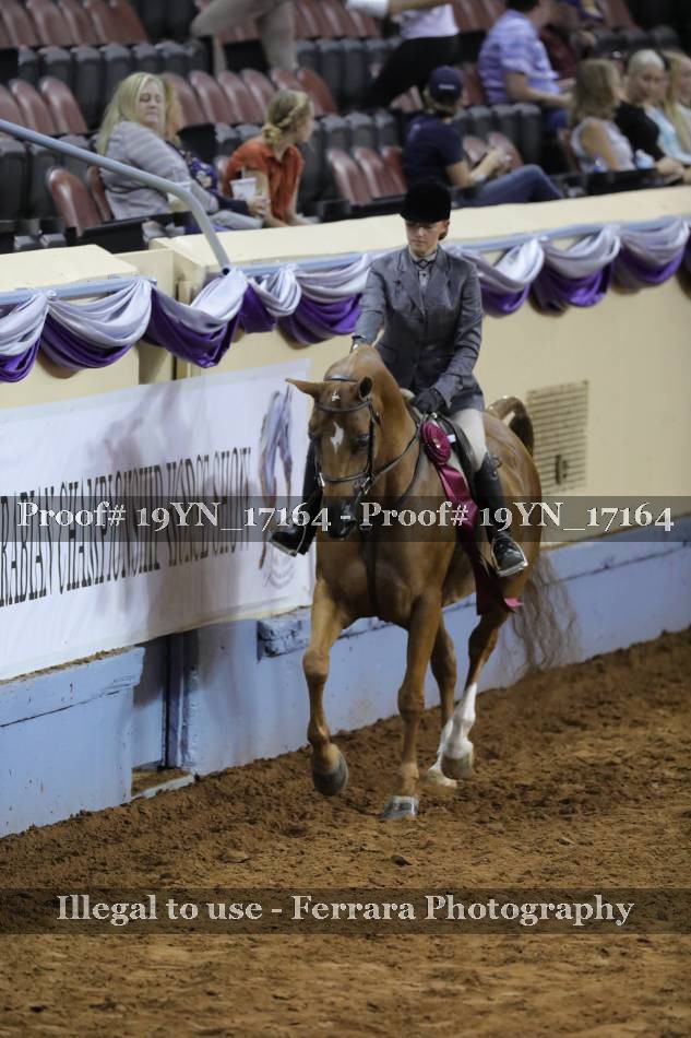 Proof 19YN_17164