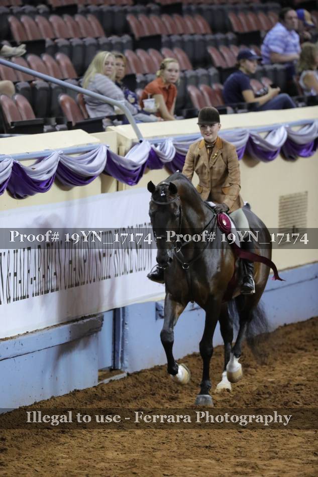 Proof 19YN_17174