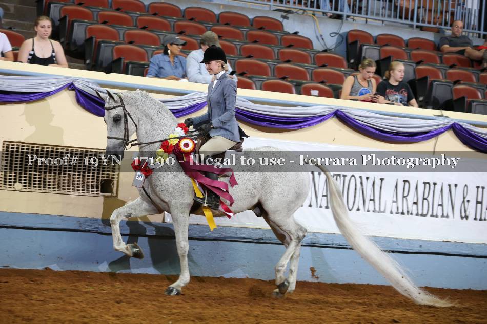 Proof 19YN_17190