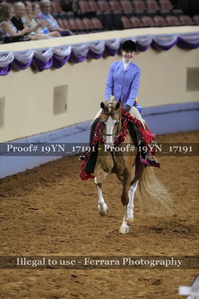 Proof 19YN_17191