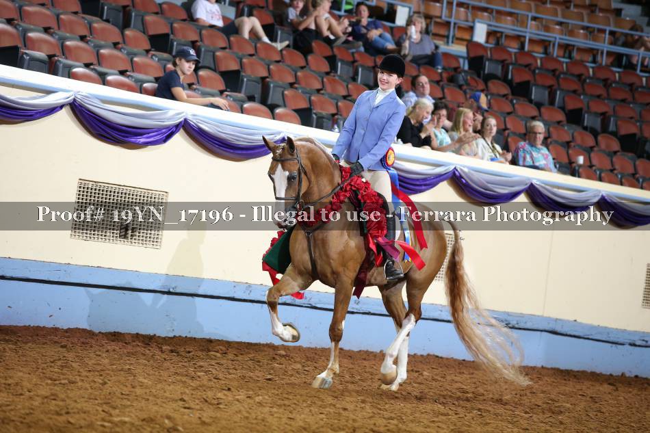 Proof 19YN_17196