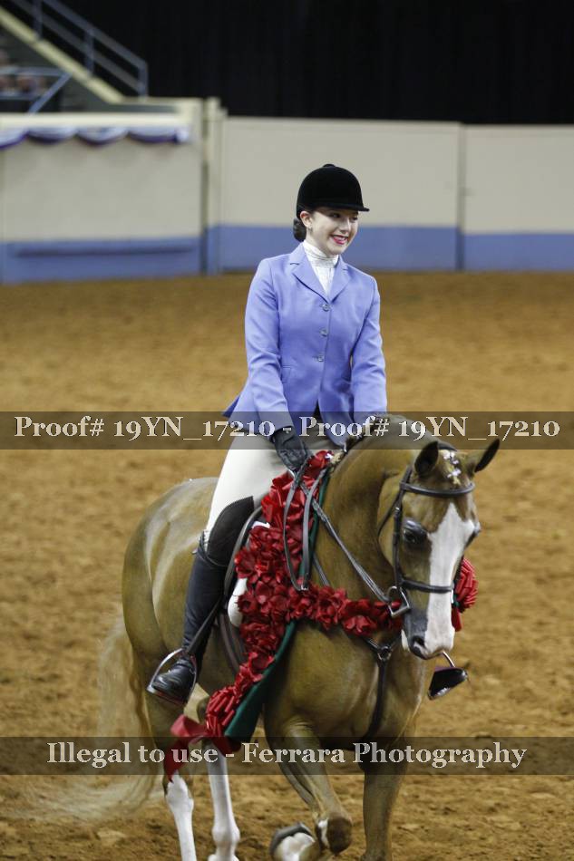 Proof 19YN_17210