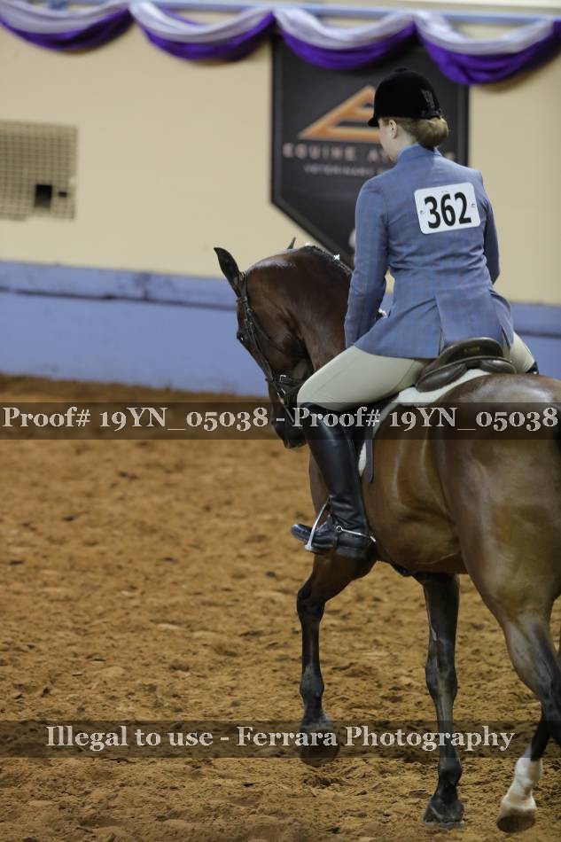 Proof 19YN_05038