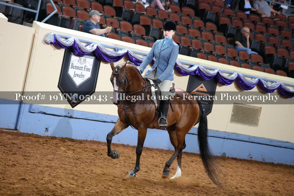 Proof 19YN_05043