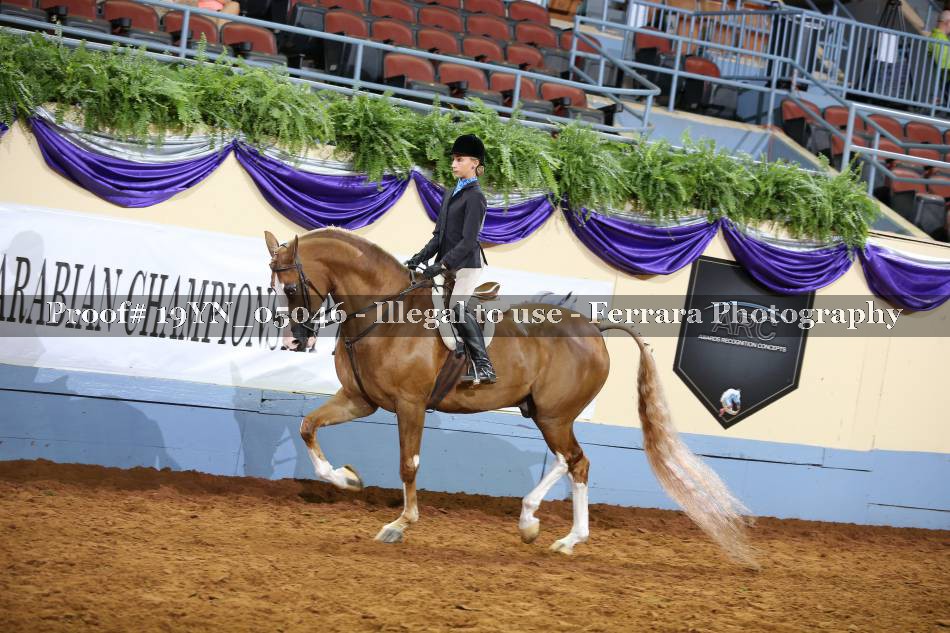 Proof 19YN_05046