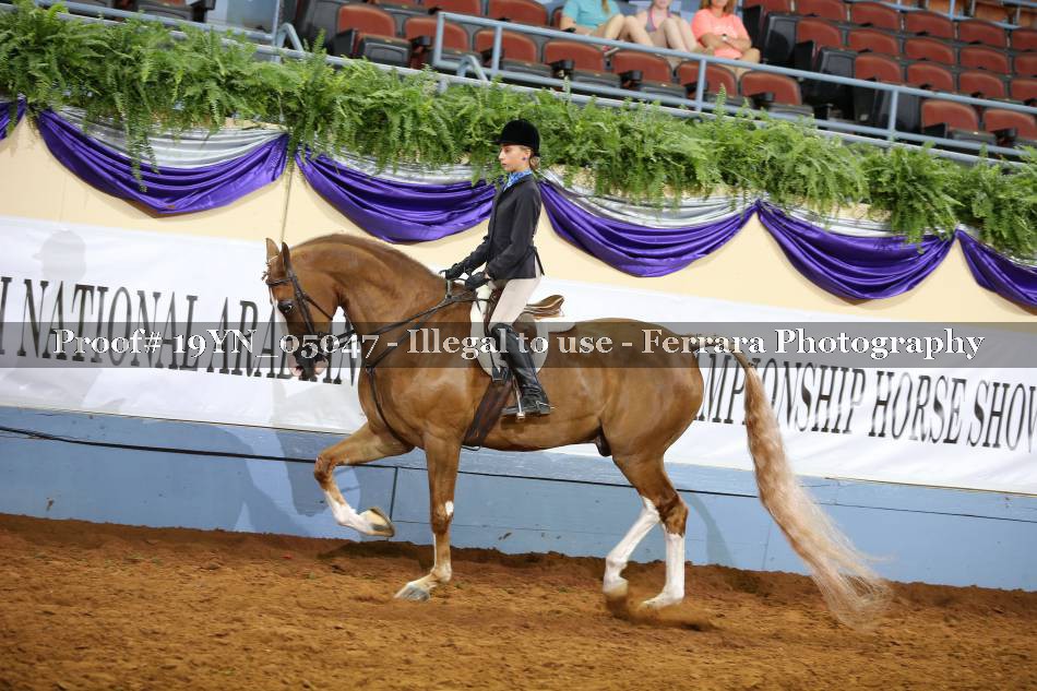 Proof 19YN_05047
