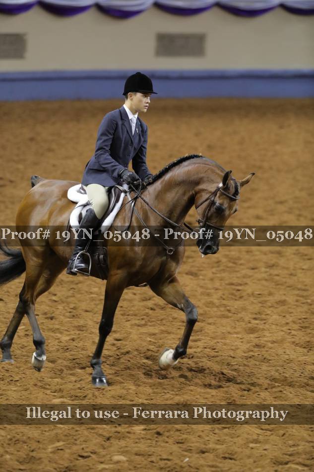 Proof 19YN_05048
