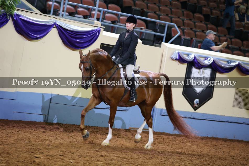 Proof 19YN_05049