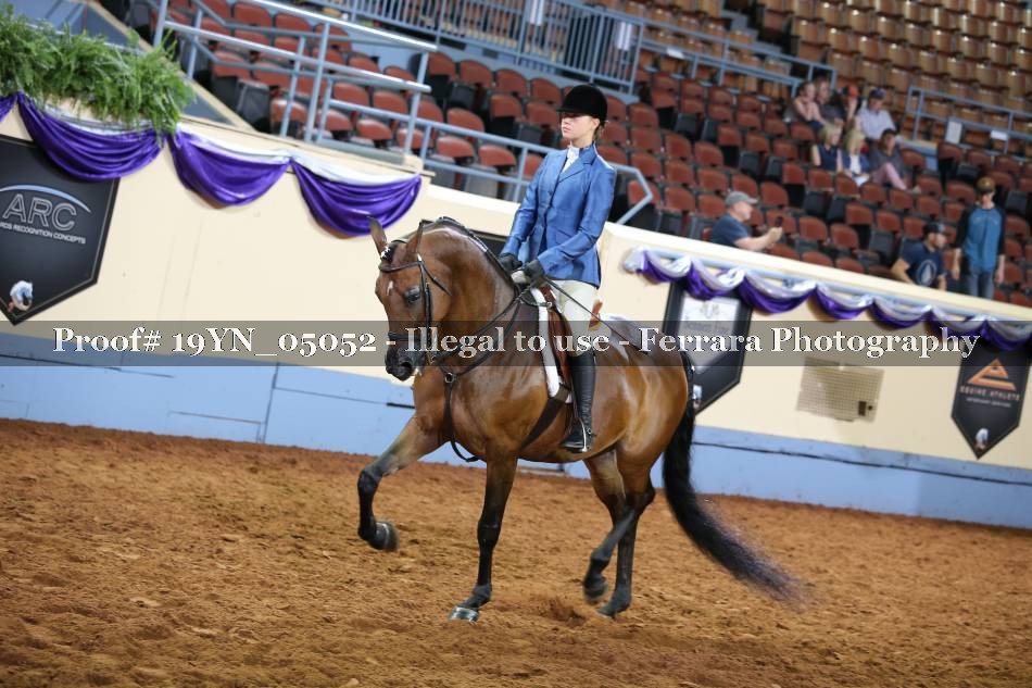 Proof 19YN_05052