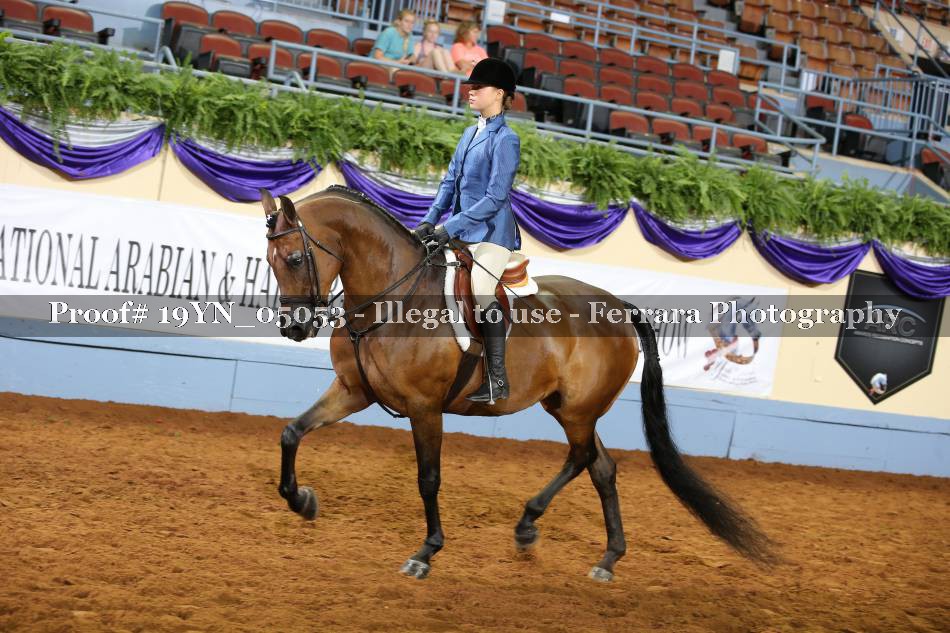 Proof 19YN_05053