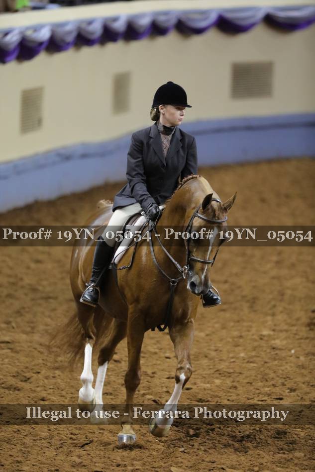 Proof 19YN_05054