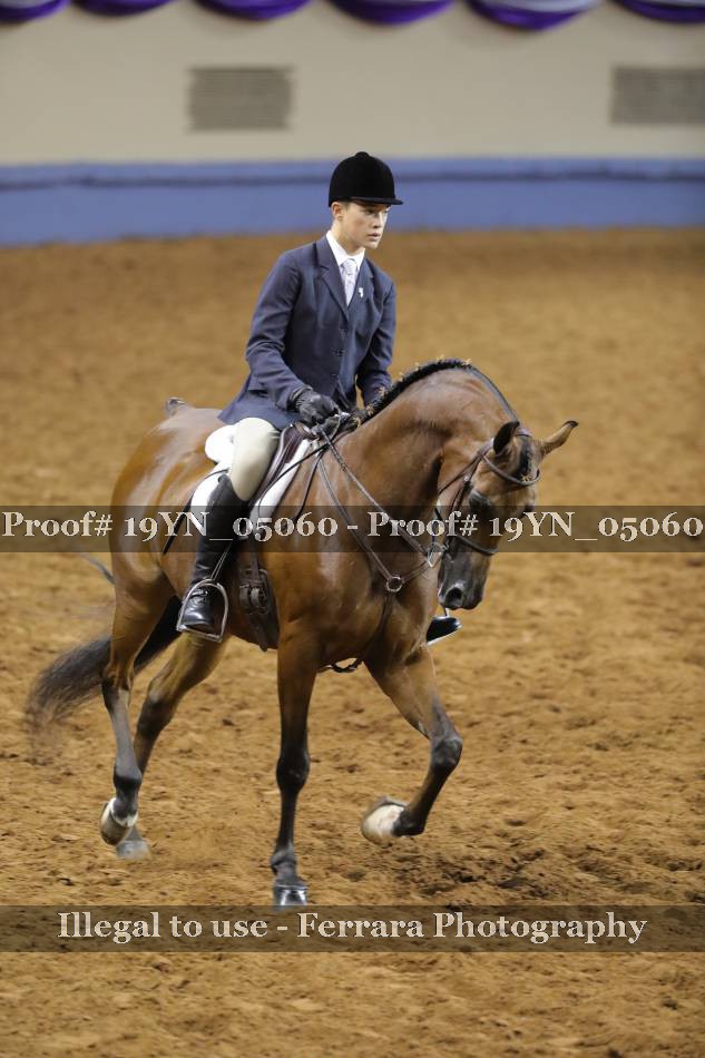Proof 19YN_05060