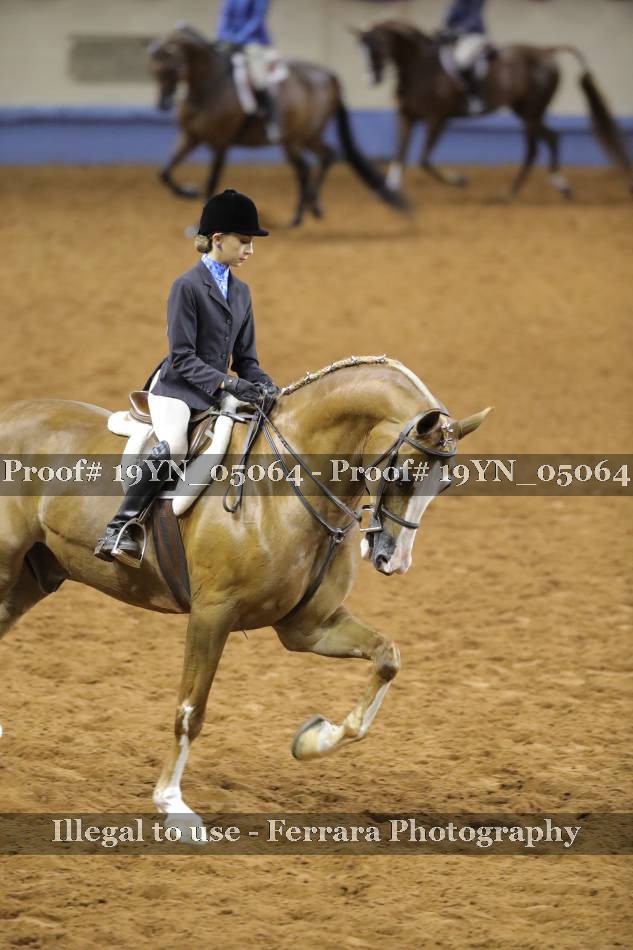 Proof 19YN_05064
