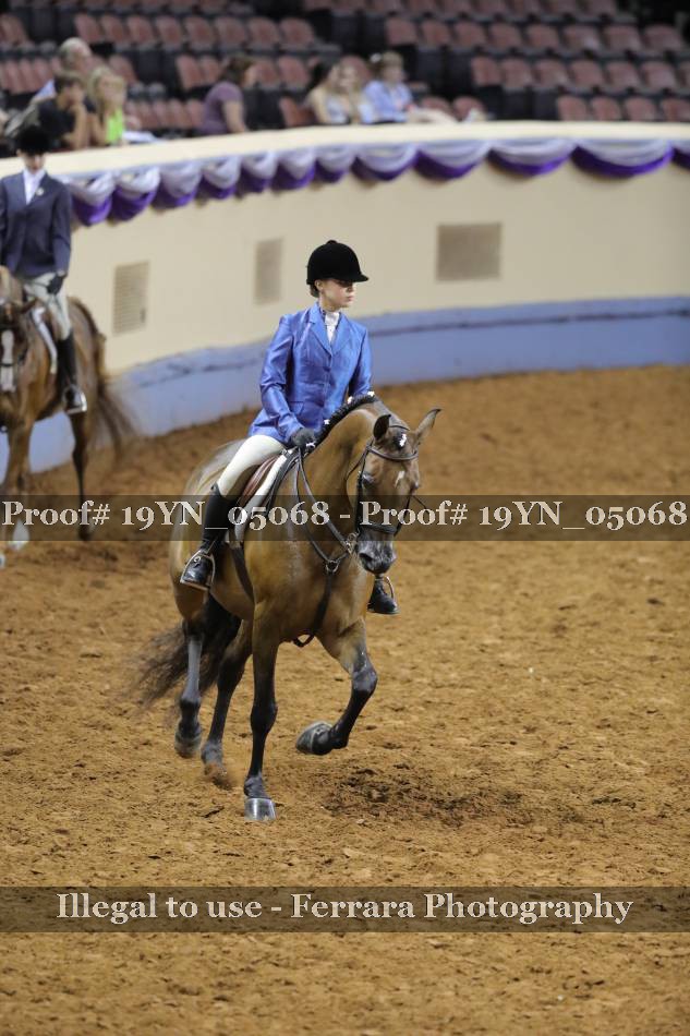 Proof 19YN_05068