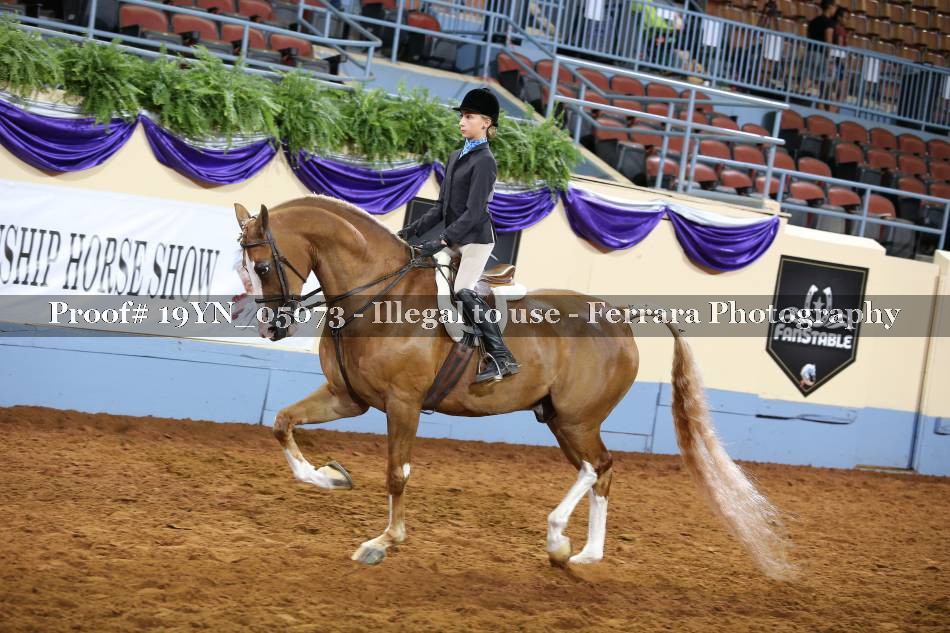 Proof 19YN_05073