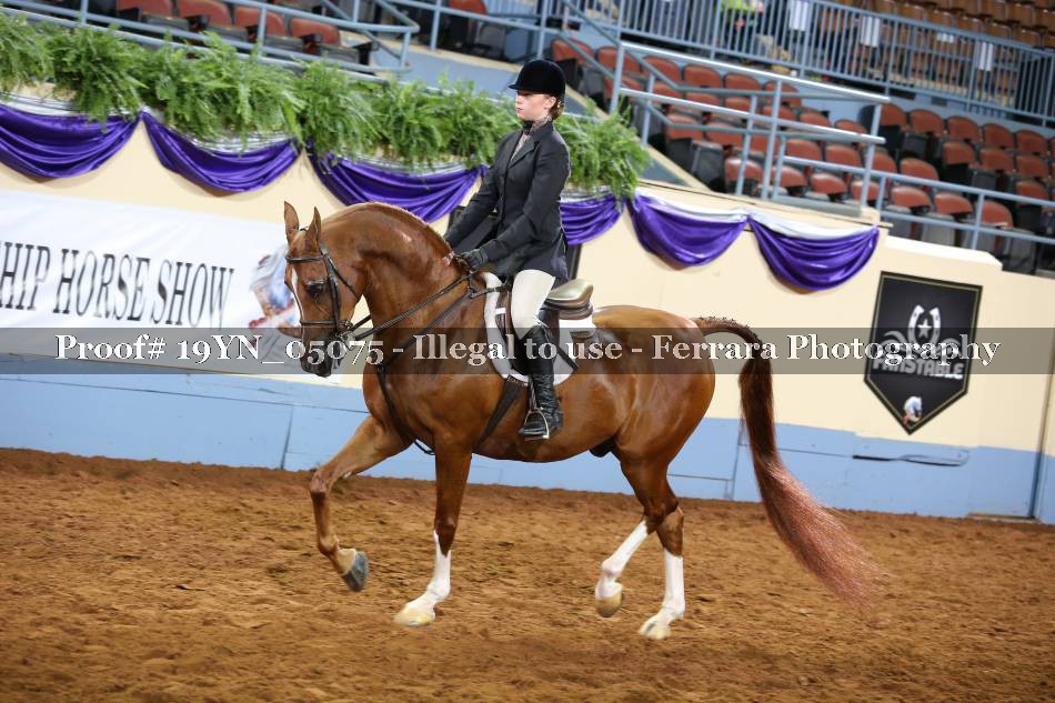 Proof 19YN_05075