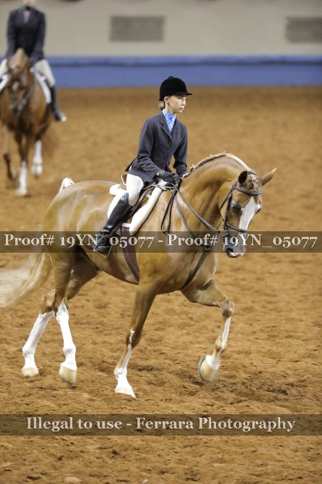 Proof 19YN_05077