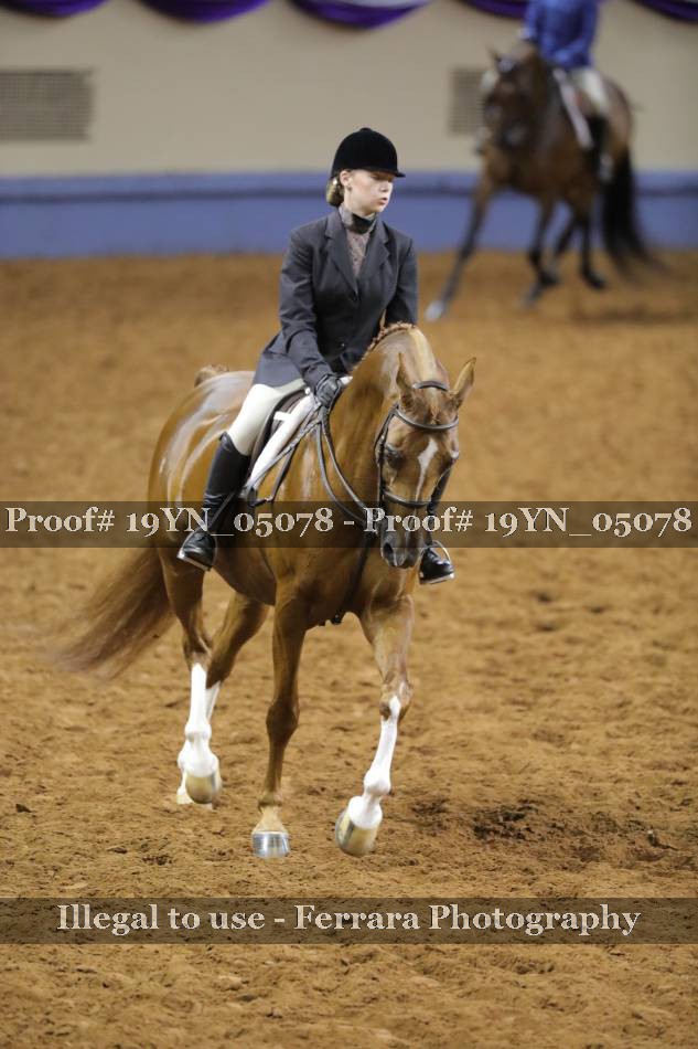 Proof 19YN_05078